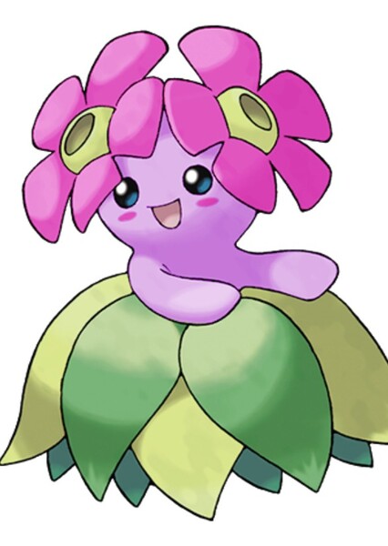Bellossom photo