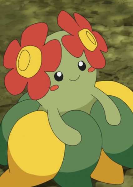 Bellossom