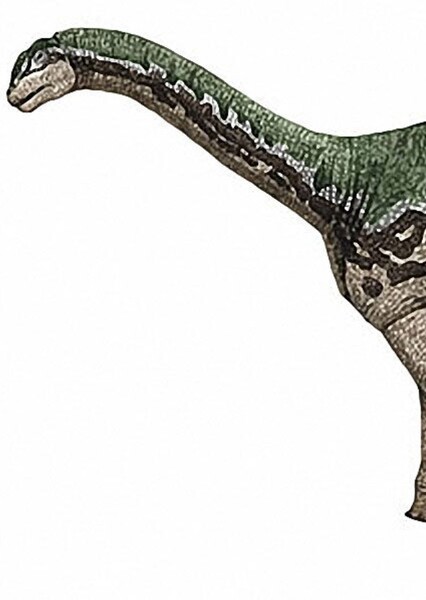 Bellusaurus photo