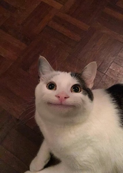 Beluga (YouTuber) photo