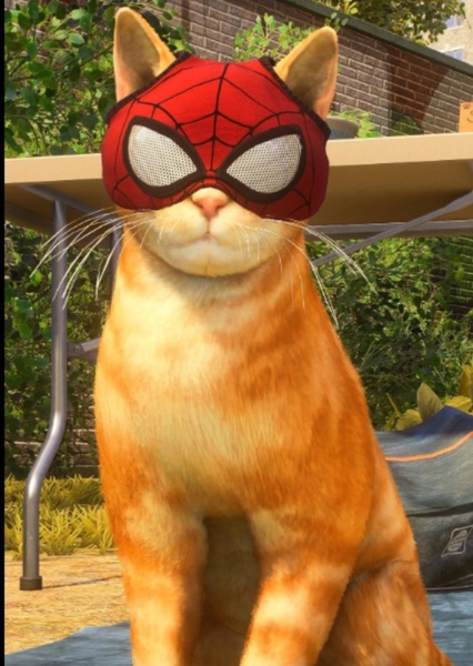Ginger Cat/Spider-Cat
