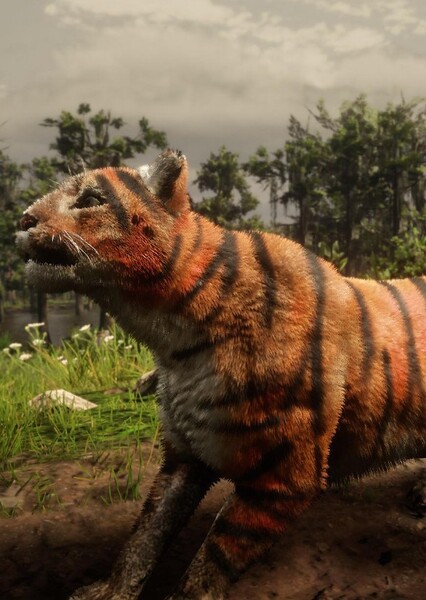 Bengal Tiger photo