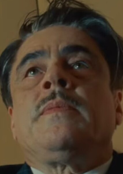 Benicio del Toro photo