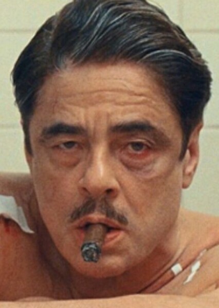 Benicio del Toro photo