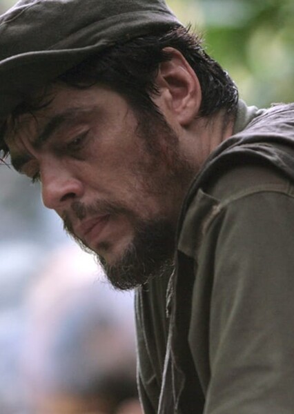 Benicio del Toro photo