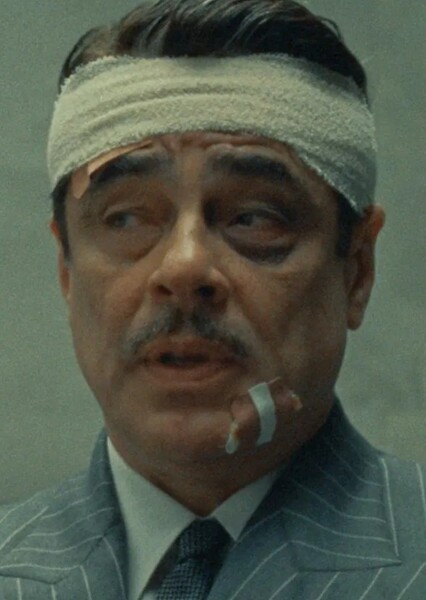 Benicio del Toro