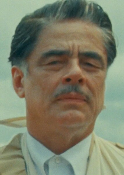 Benicio del Toro photo