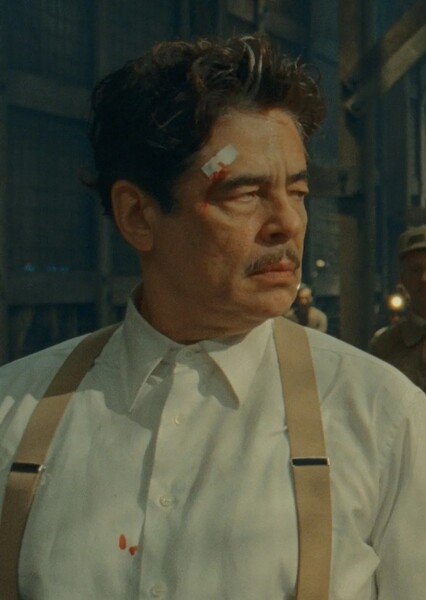 Benicio del Toro