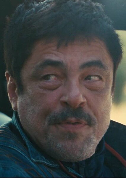 Benicio del Toro photo