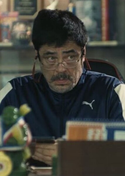 Benicio del Toro photo