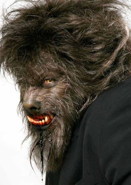Benicio del Toro photo