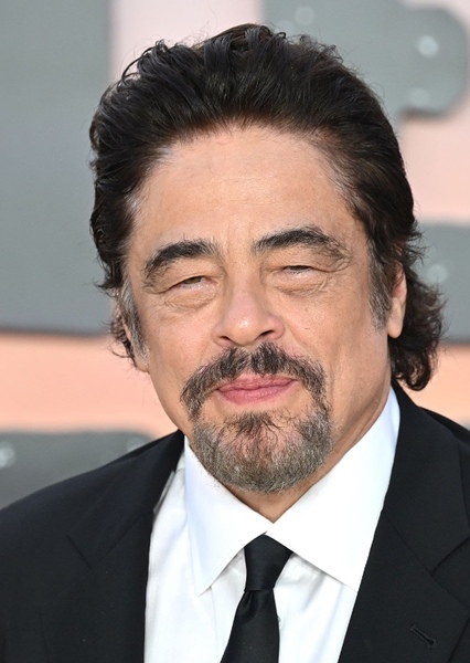 Benicio del Toro photo