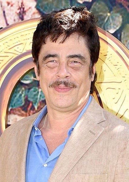 Benicio del Toro photo