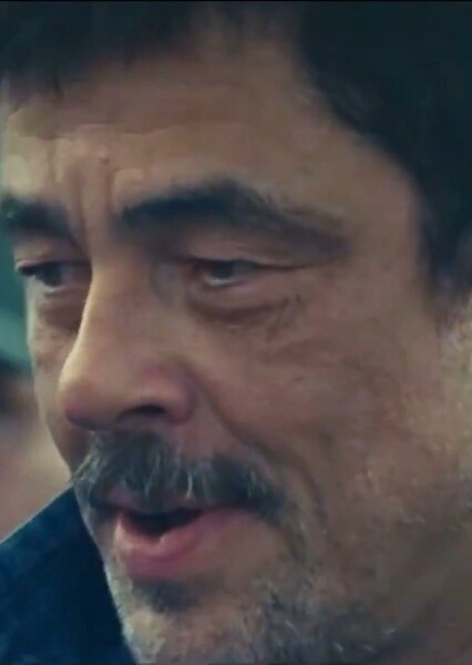 Benicio del Toro photo