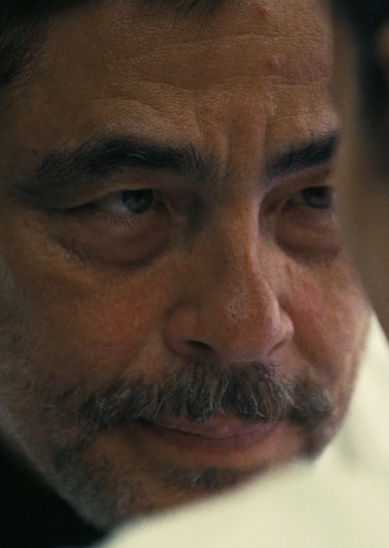Benicio del Toro photo