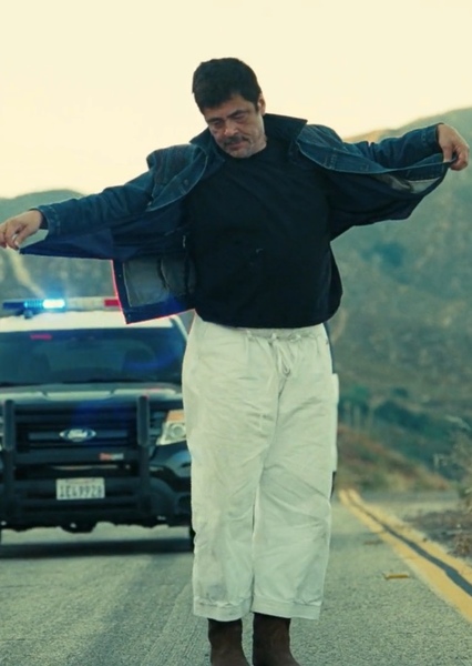 Benicio del Toro photo