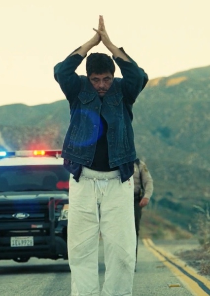 Benicio del Toro photo