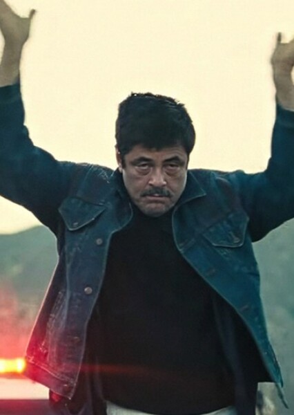 Benicio del Toro photo