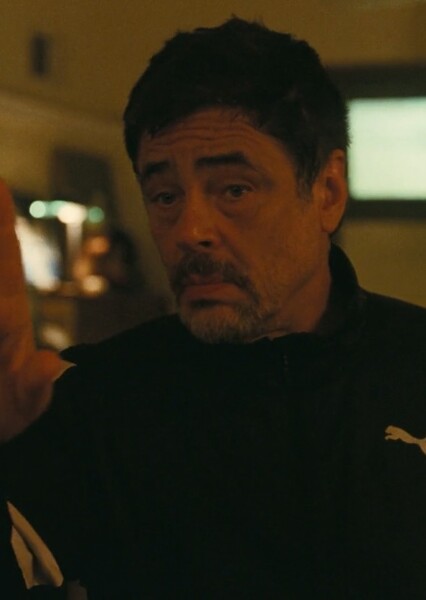 Benicio del Toro photo