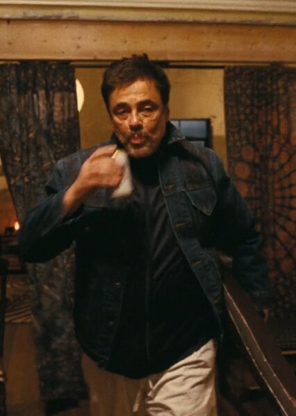 Benicio del Toro photo