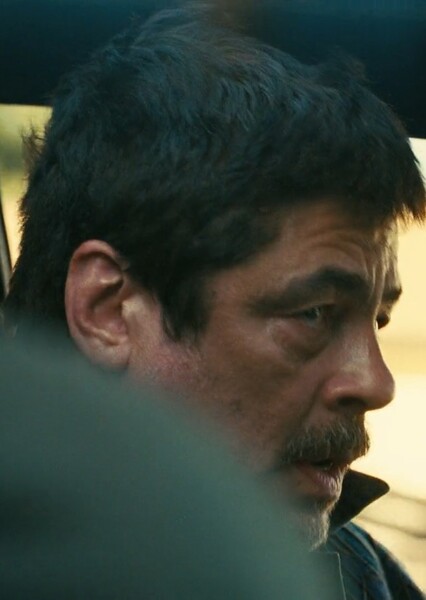 Benicio del Toro photo