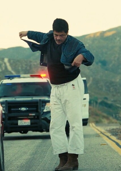 Benicio del Toro
