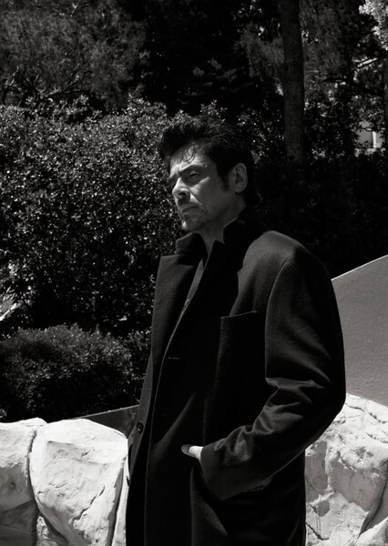 Benicio del Toro photo
