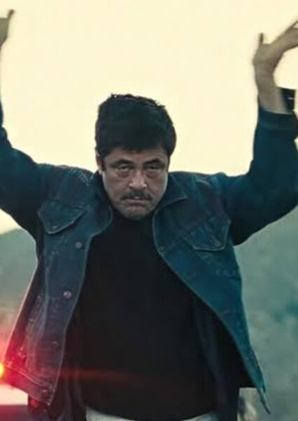 Benicio del Toro photo