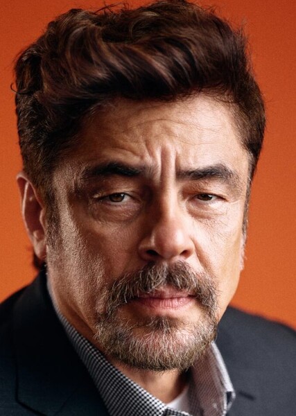 Benicio del Toro photo