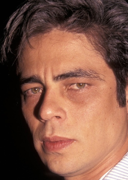 Benicio del Toro photo