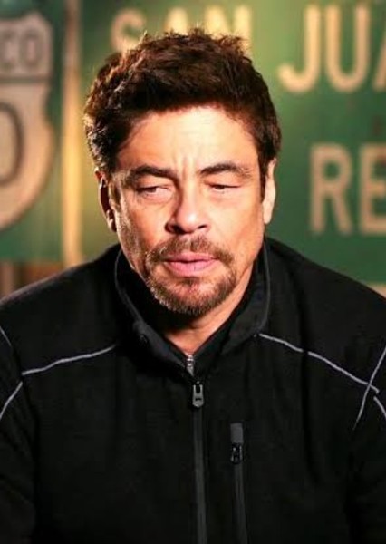 Benicio del Toro photo