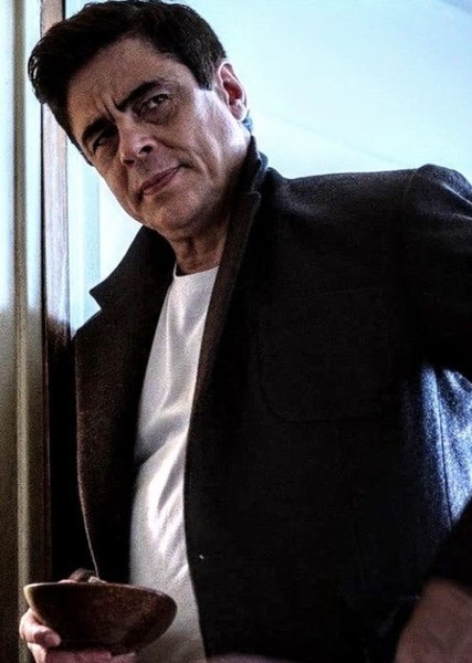 Benicio del Toro photo