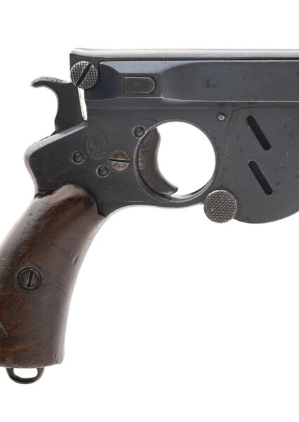 Bergmann 1896