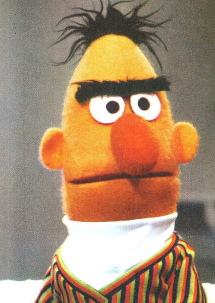 Bert (Sesame Street) photo