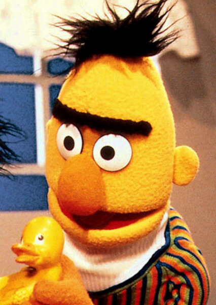 Bert (Sesame Street) photo