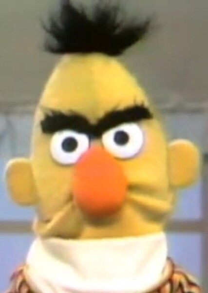 Bert (Sesame Street) photo