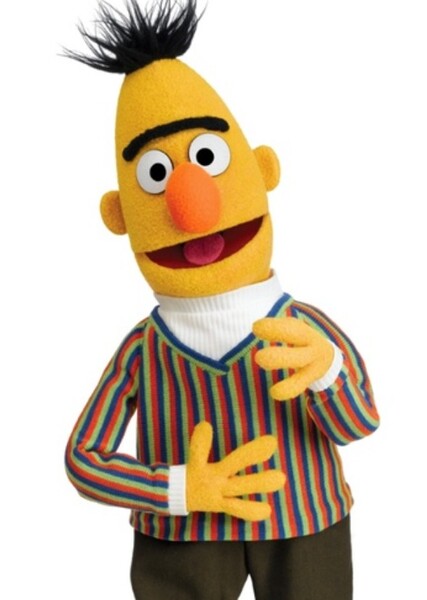 Bert (Sesame Street) photo