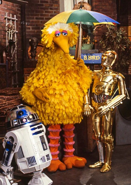 Big Bird photo