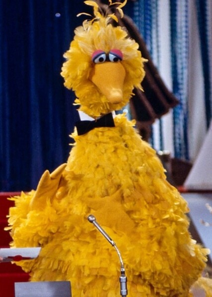 Big Bird photo