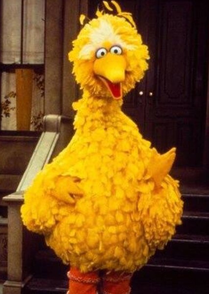 Big Bird photo