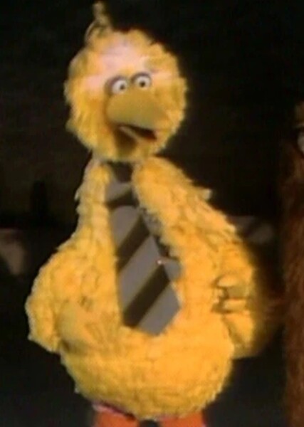 Big Bird photo