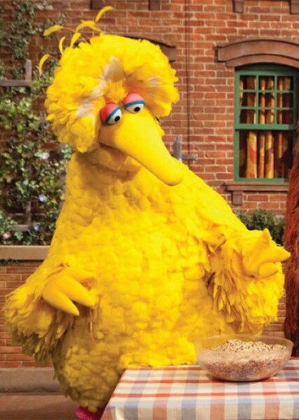 Big Bird photo