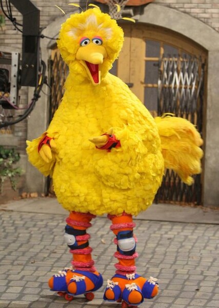 Big Bird photo