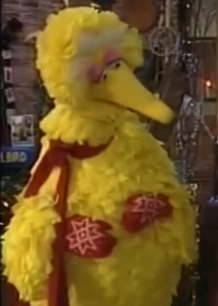 Big Bird photo
