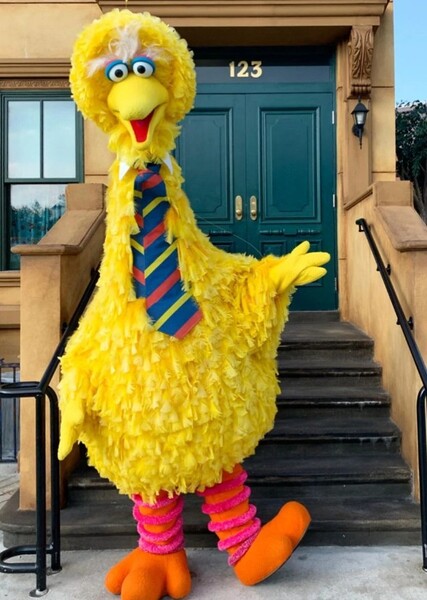 Big Bird photo