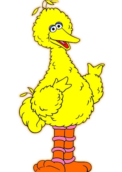 Big Bird photo