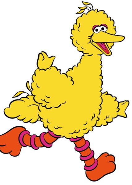 Big Bird photo