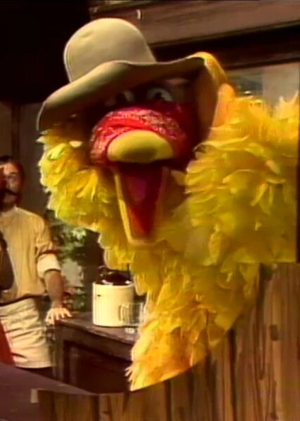 Big Bird photo