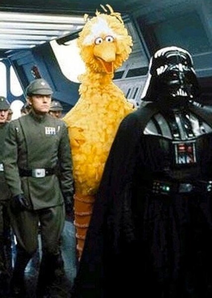 Big Bird photo