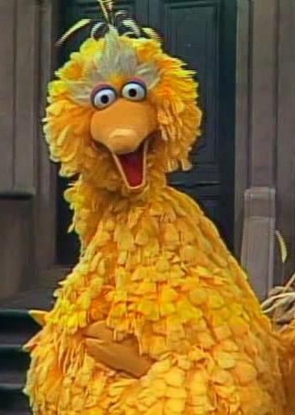 Big Bird
